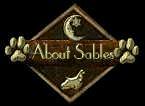 About Sable Cocker Spaniels